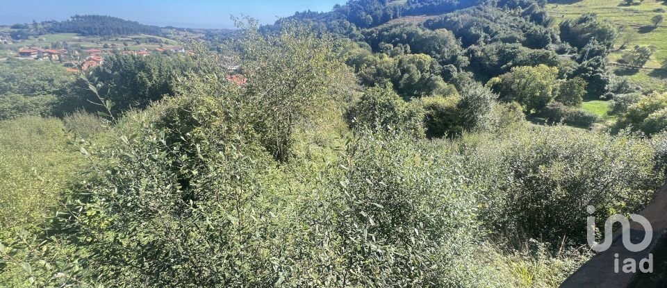 Casa de poble 0 habitacions de 160 m² a Pulide (33456)