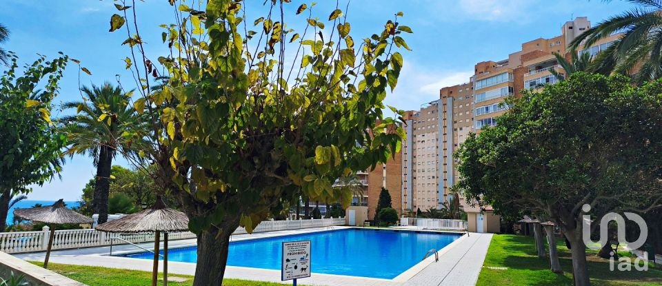 Apartment 3 bedrooms of 129 m² in El Campello (03560)