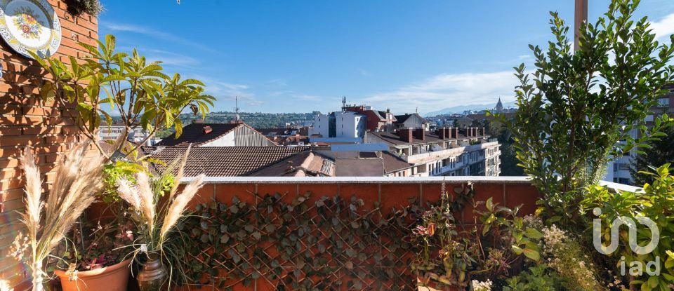 Appartement 1 chambre de 74 m² à Oviedo (33011)