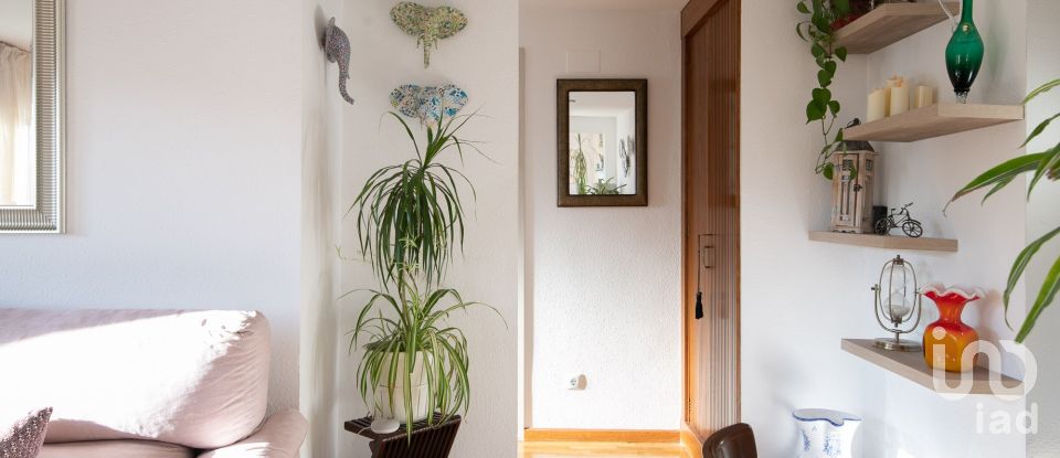 Appartement 1 chambre de 74 m² à Oviedo (33011)