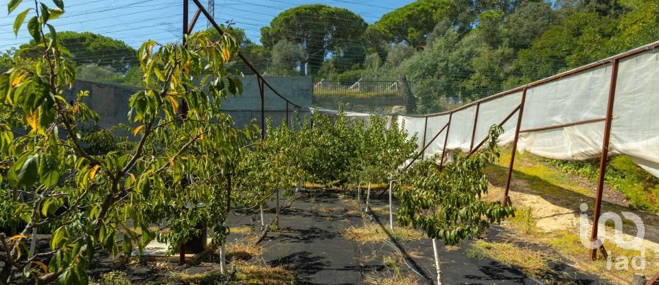 Masia 5 habitaciones de 949 m² en Sant Andreu de Llavaneres (08392)