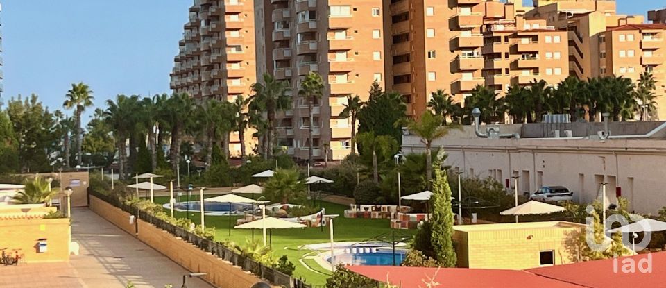 Piso 2 habitaciones de 59 m² en Oropesa/Oropesa del Mar (12594)