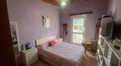 Maison 3 chambres de 200 m² à Borela (36858)