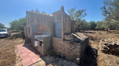 Farm land of 18,432 m² in L'Ametlla de Mar (43860)