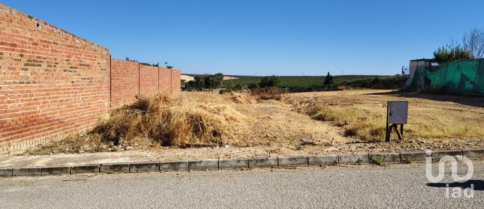 Terrain à bâtir de 180 m² à Cañada Rosal (41439)