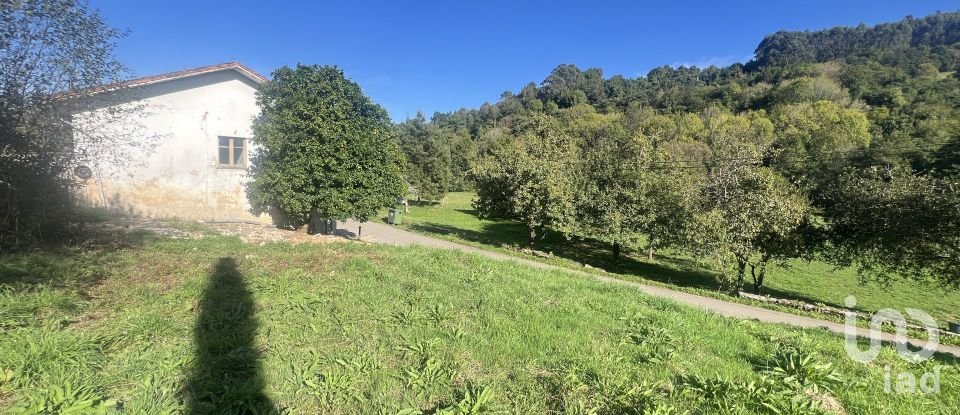 Terreny de 871 m² a Pulide (33456)