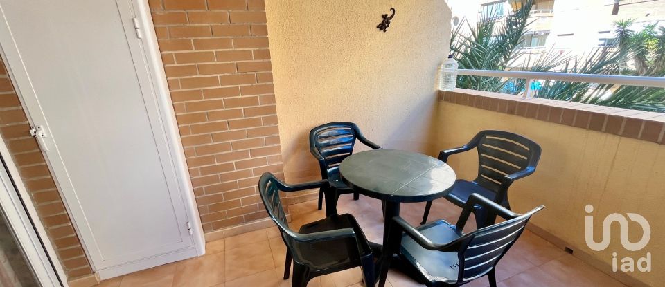 Piso 2 habitaciones de 51 m² en Oropesa/Oropesa del Mar (12594)