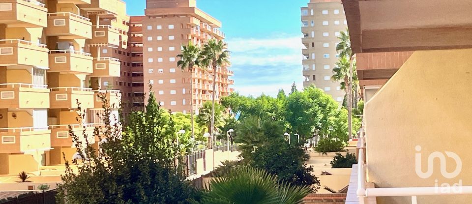 Piso 2 habitaciones de 51 m² en Oropesa/Oropesa del Mar (12594)