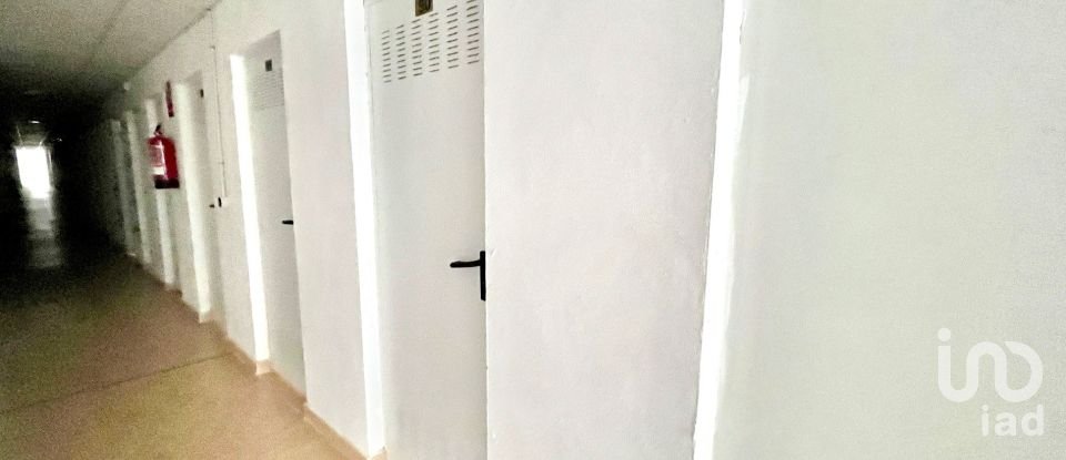 Piso 2 habitaciones de 51 m² en Oropesa/Oropesa del Mar (12594)