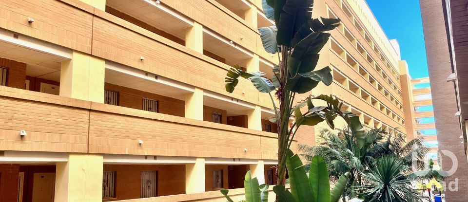 Piso 2 habitaciones de 51 m² en Oropesa/Oropesa del Mar (12594)