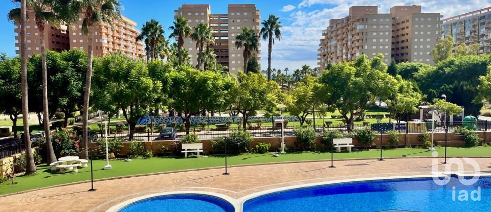 Piso 2 habitaciones de 51 m² en Oropesa/Oropesa del Mar (12594)