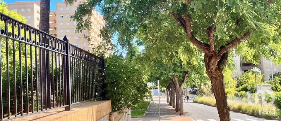 Piso 2 habitaciones de 51 m² en Oropesa/Oropesa del Mar (12594)