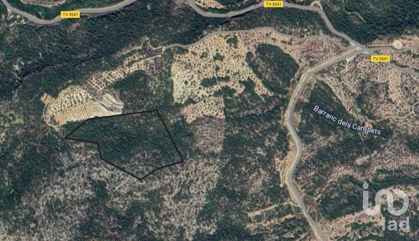 Terrain de 61 171 m² à Xerta (43592)