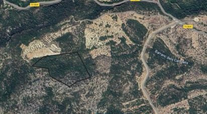 Land of 61,171 m² in Xerta (43592)