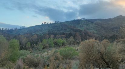 Land of 61,171 m² in Xerta (43592)