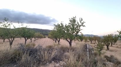 Land of 21,460 m² in Salinas (03638)