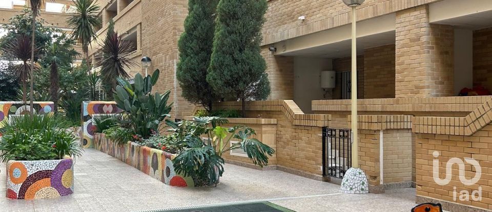 Piso 2 habitaciones de 61 m² en Oropesa/Oropesa del Mar (12594)