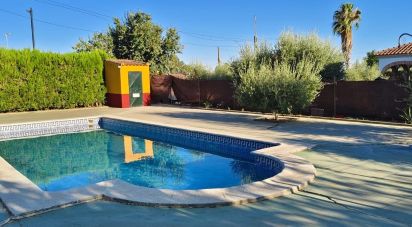 Land of 5,201 m² in Lora del Río (41440)