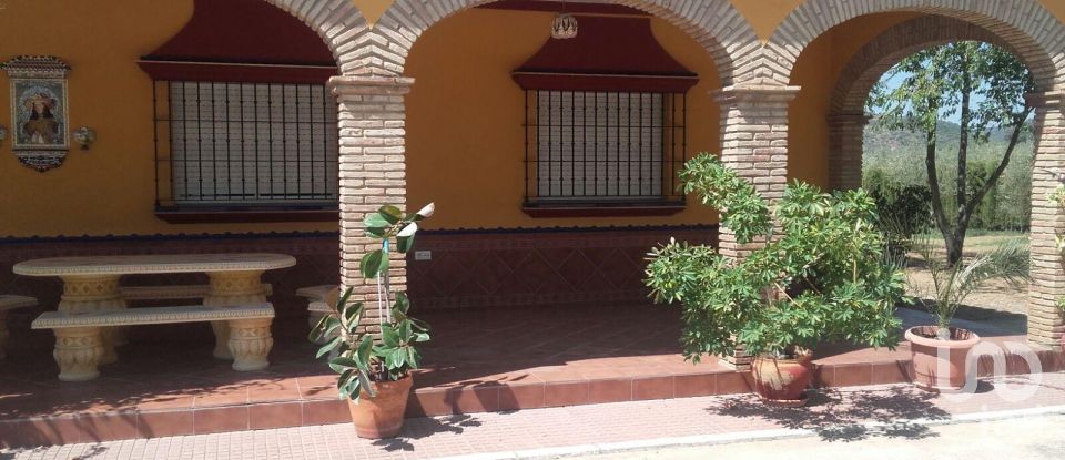 Terreno de 5.201 m² en Lora del Río (41440)