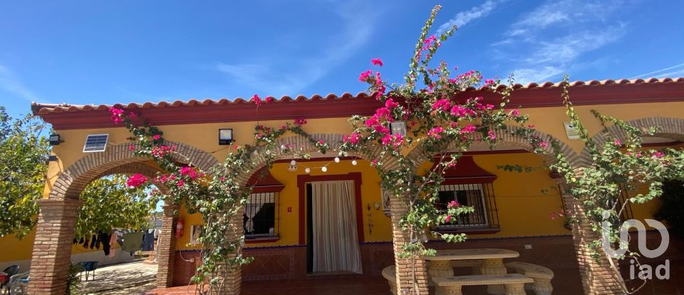 Terreno de 5.201 m² en Lora del Río (41440)