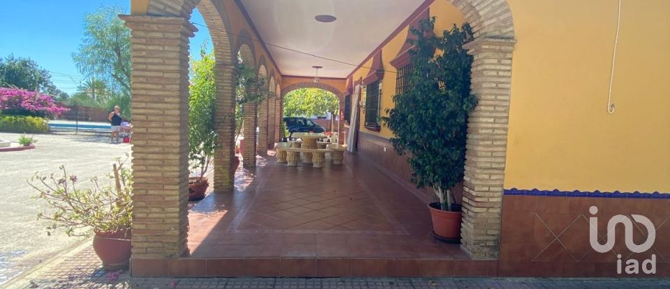 Terreno de 5.201 m² en Lora del Río (41440)