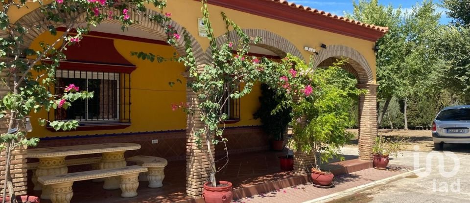 Terreno de 5.201 m² en Lora del Río (41440)