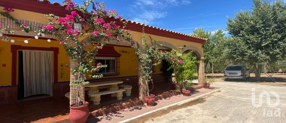 Terreno de 5.201 m² en Lora del Río (41440)