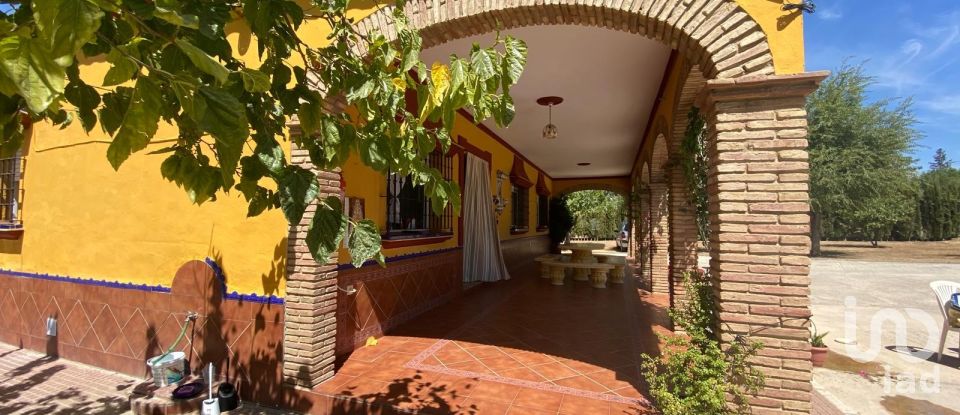 Terreno de 5.201 m² en Lora del Río (41440)