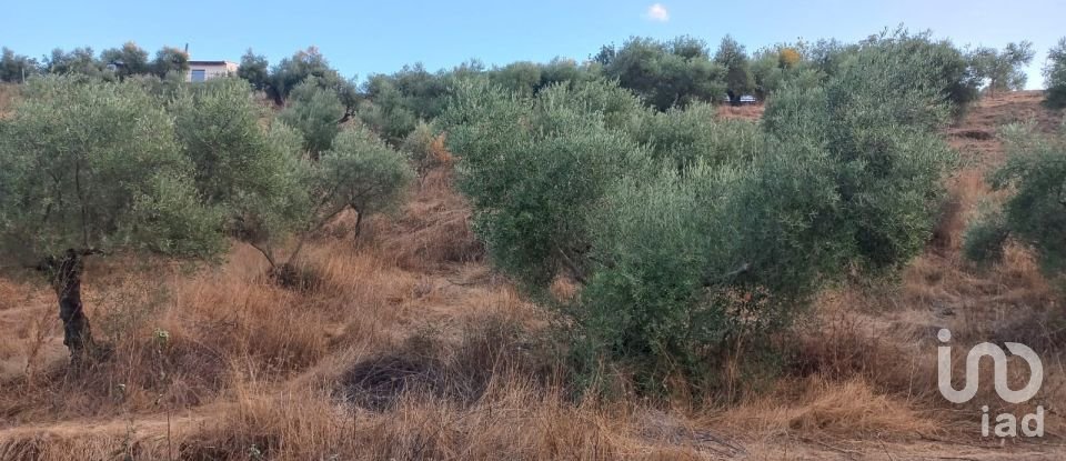 Casa rural 4 habitacions de 118 m² a Hornachuelos (14740)