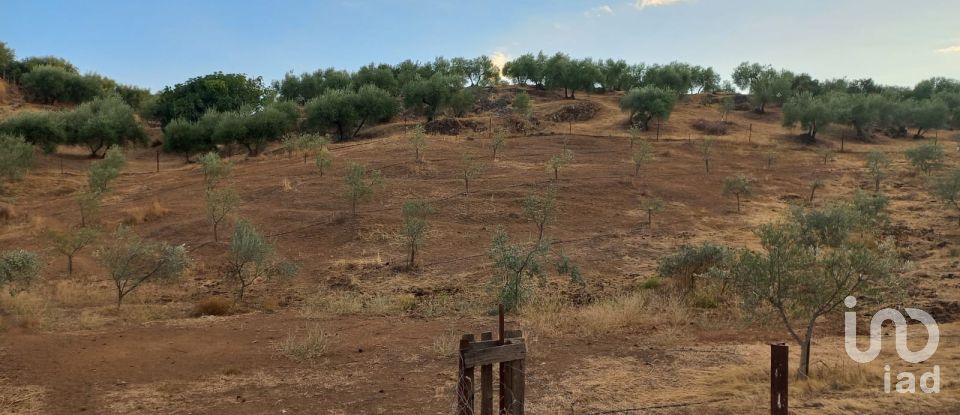 Casa rural 4 habitacions de 118 m² a Hornachuelos (14740)