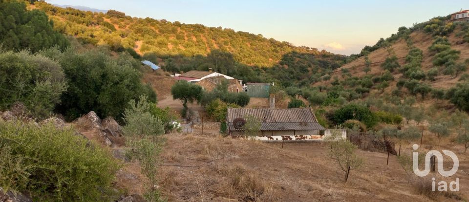 Casa rural 4 habitacions de 118 m² a Hornachuelos (14740)