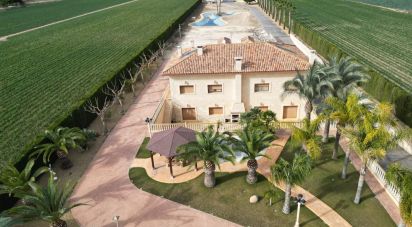 Casa rústica 5 habitaciones de 578 m² en Aspe (03680)