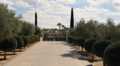 Casa rústica 5 habitaciones de 578 m² en Aspe (03680)