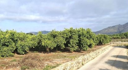 Land of 14,230 m² in Benidoleig (03759)