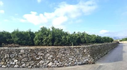 Land of 14,230 m² in Benidoleig (03759)
