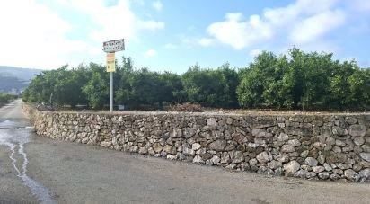 Land of 14,230 m² in Benidoleig (03759)