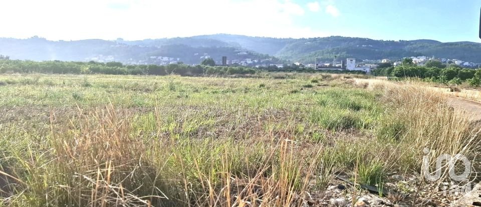 Terreno de 14.230 m² en Benidoleig (03759)