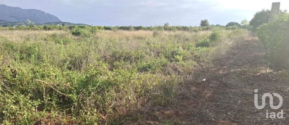 Terreno de 14.230 m² en Benidoleig (03759)