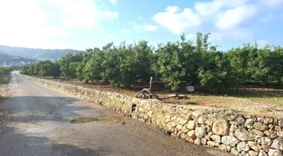 Land of 14,230 m² in Benidoleig (03759)