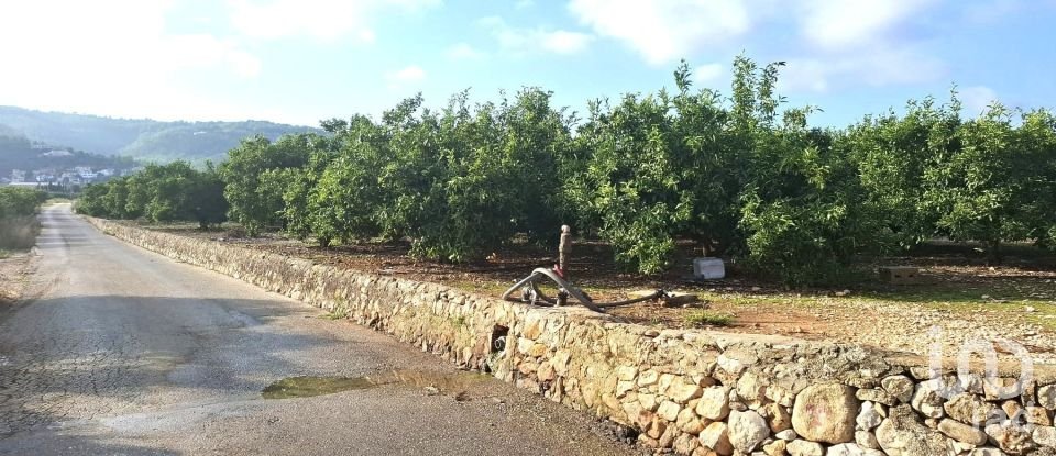 Terreno de 14.230 m² en Benidoleig (03759)