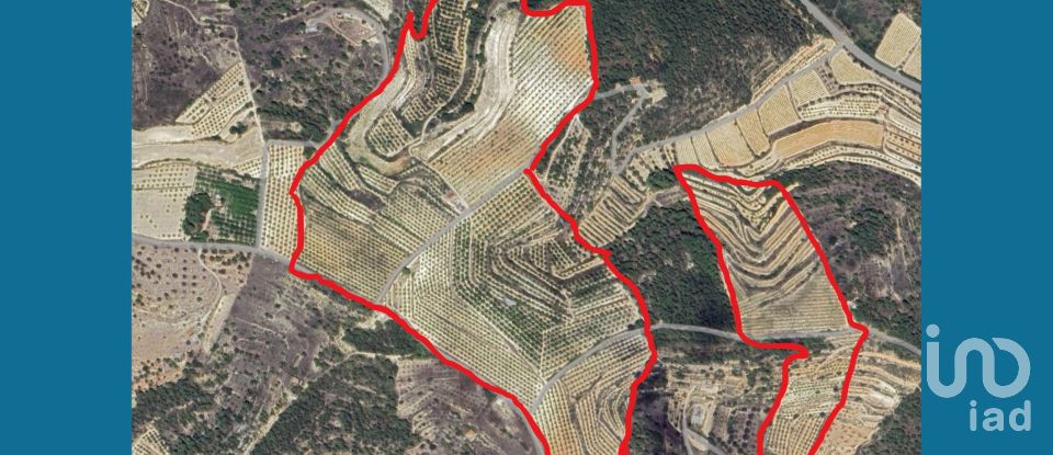 Farm land of 255,000 m² in Gandesa (43780)