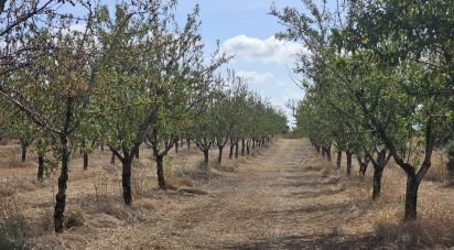 Farm land of 255,000 m² in Gandesa (43780)