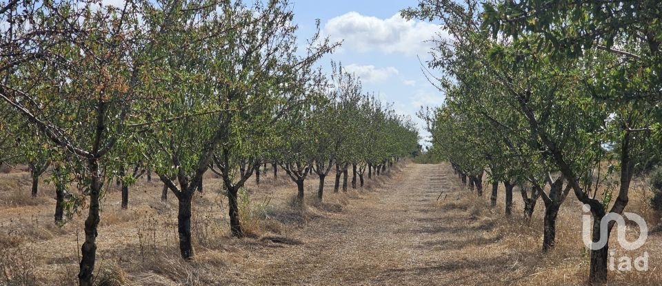 Farm land of 255,000 m² in Gandesa (43780)