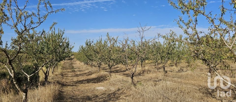 Farm land of 255,000 m² in Gandesa (43780)