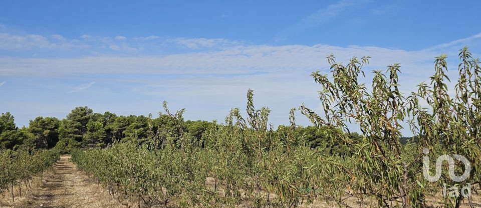 Farm land of 255,000 m² in Gandesa (43780)