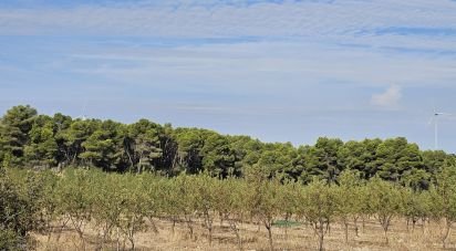 Farm land of 255,000 m² in Gandesa (43780)