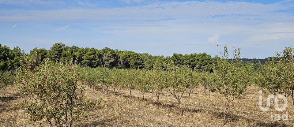 Farm land of 255,000 m² in Gandesa (43780)