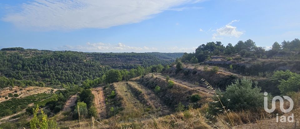 Farm land of 255,000 m² in Gandesa (43780)