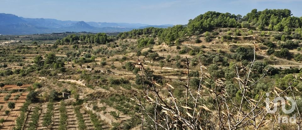 Farm land of 255,000 m² in Gandesa (43780)