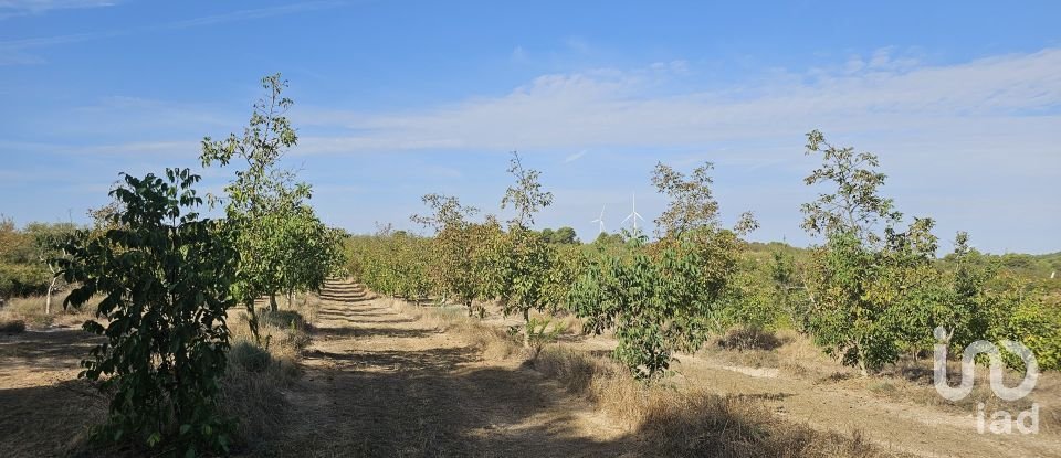 Farm land of 255,000 m² in Gandesa (43780)